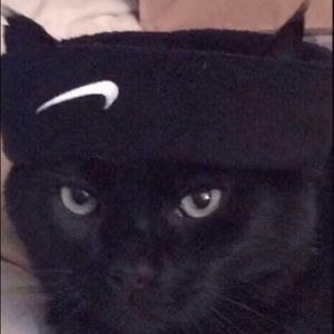 Meet your Posher, Bo